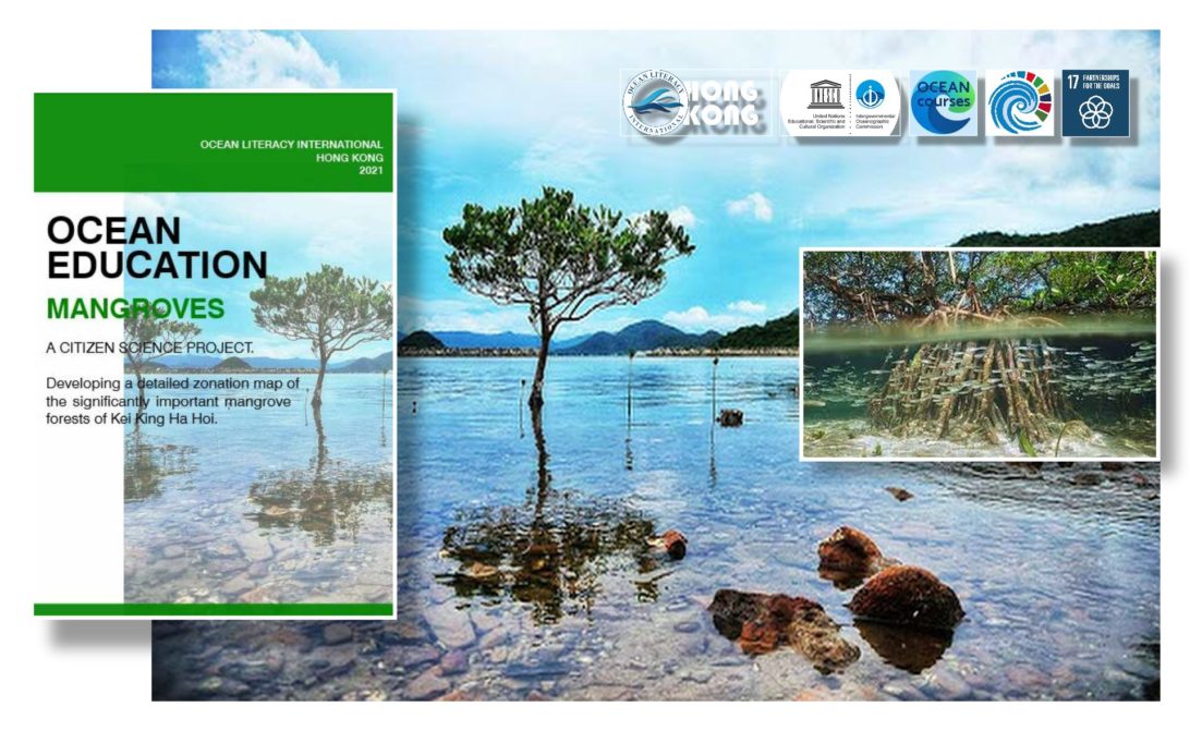 mangrove ecosystems course